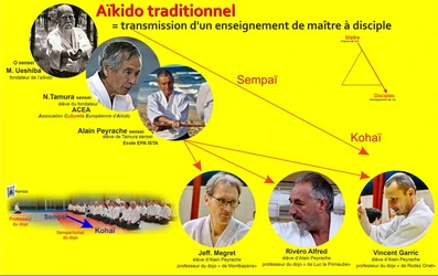 Filiation Aveyron Professur des dojos 