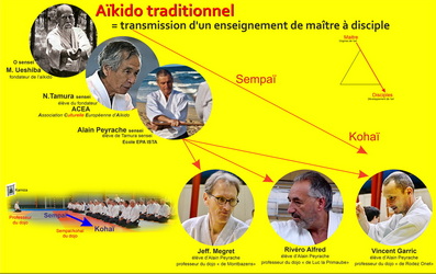 Aïkido Grand Rodez à Luc (12) Alfred Rivéro exécutant kokyu