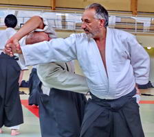 Aïkido Grand Rodez à Luc (12) le professeur du dojo projette aïté
