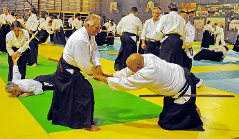 Aïkido Grand Rodez à Luc (12) notre prof exécute Nikyo avec un sabre en bois