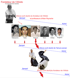 Aïkido à Luc la Primaube : une filiation de O Sensei à Alain Peyrache et ses élèves